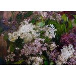 Oil painting on canvas ❀ Lilac bouquet