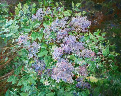 Lilac bush - oil painting